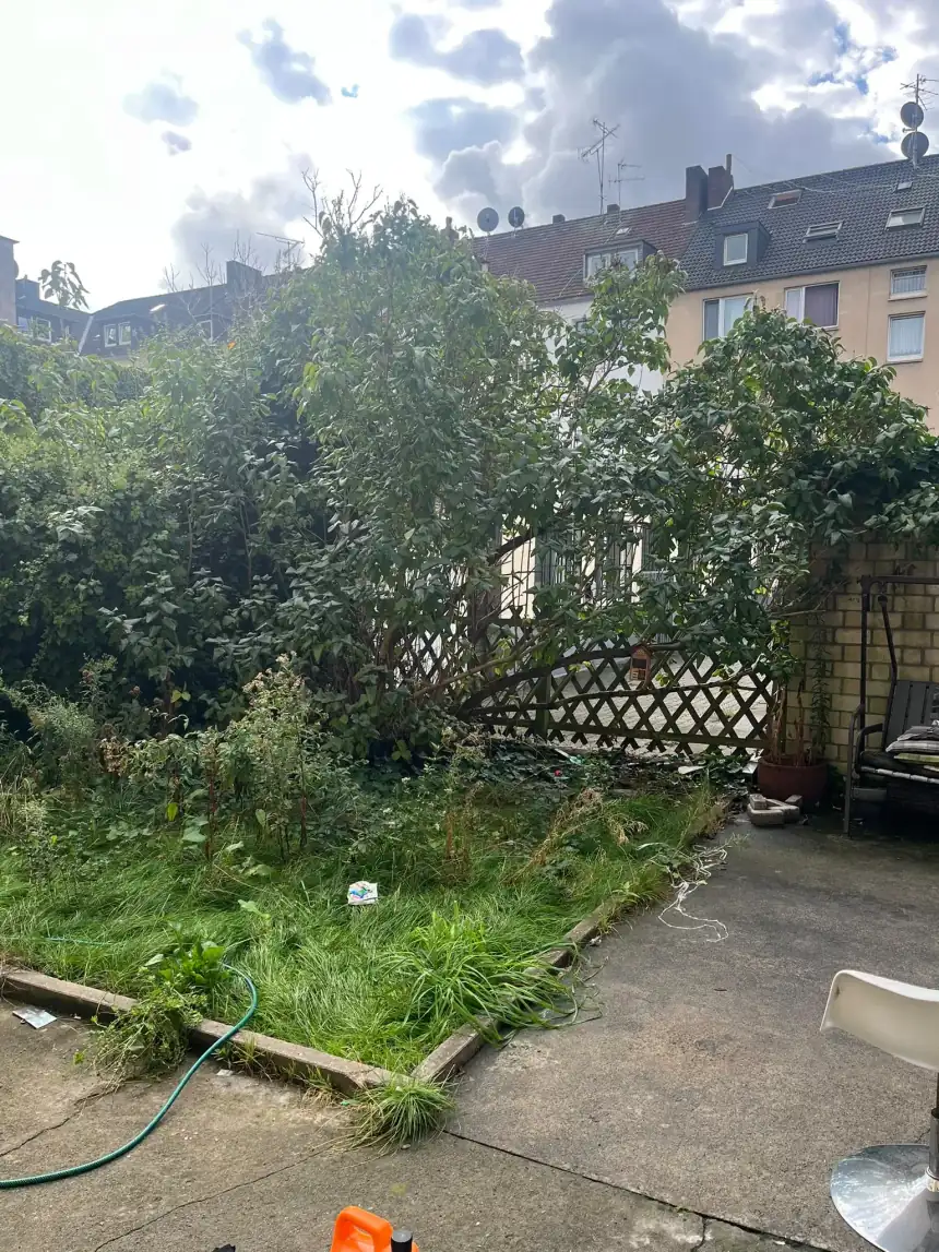 Innenhof vorher: hohes Gras und wucherndes Gestrüpp über dem gesamten Beet