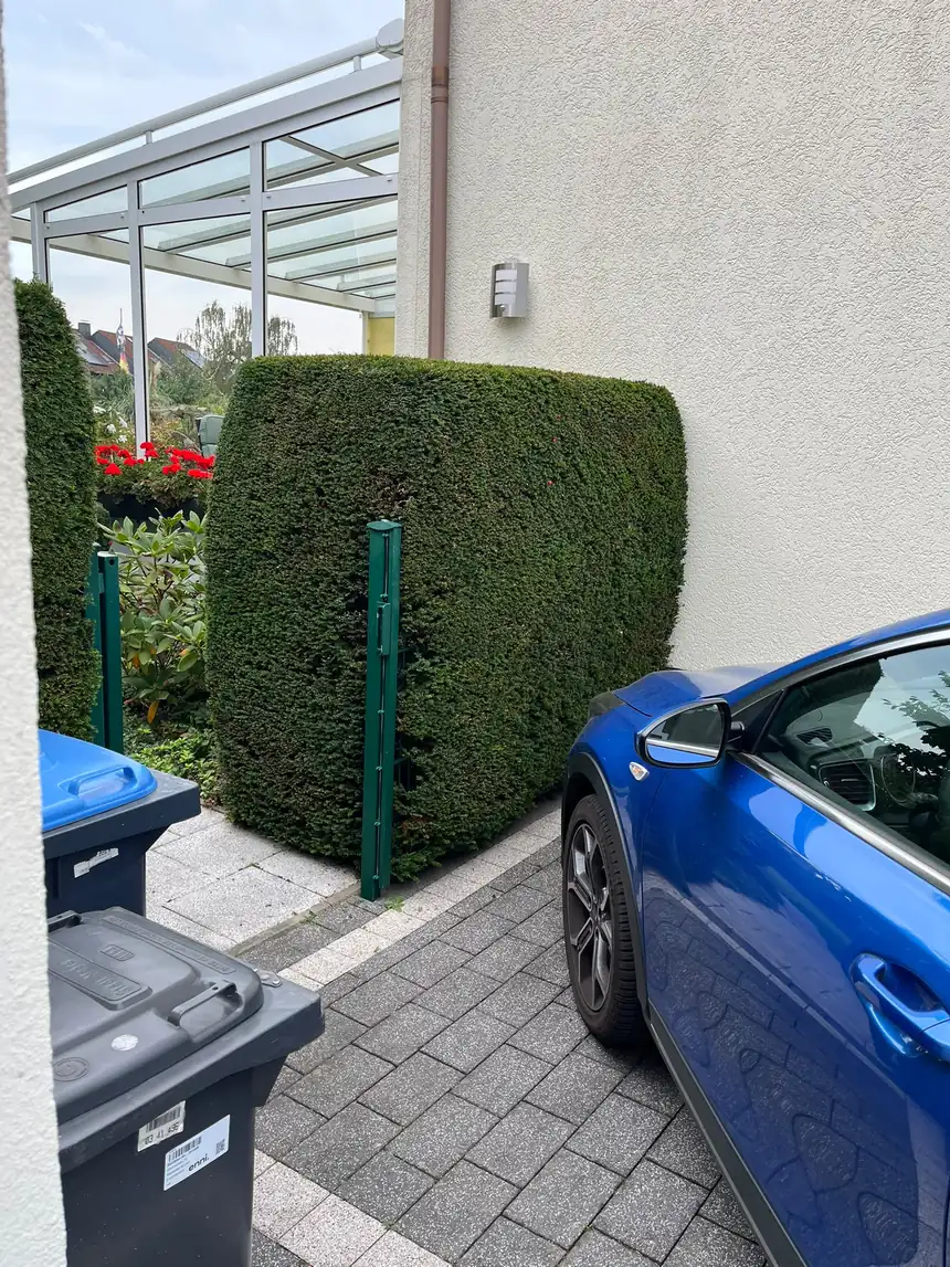 Frisch geschnittene Hecke mit geraden Kanten an einer Hauswand