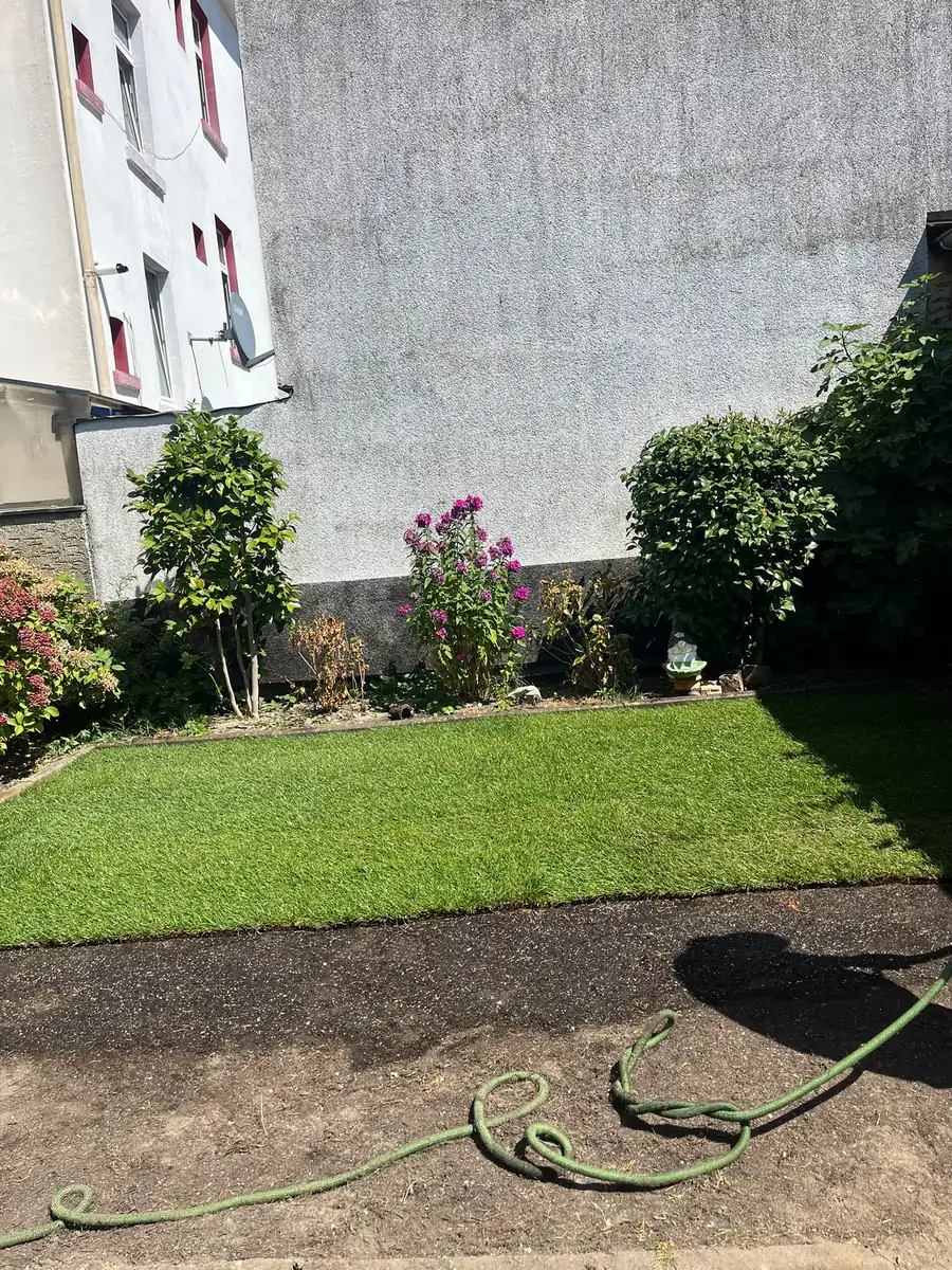 Frisch verlegter Rollrasen in einem Innenhof, sauber an der Kante abgesetzt
